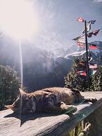 Mountain Hostel Gimmelwald