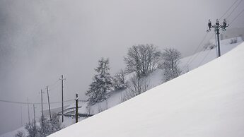 Hotel Alpenrose