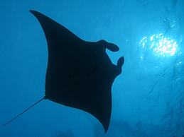 South Ari Dive Center
