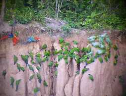 Paradise Amazon Lodge & Adventure