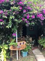 Cocoa  Pod Studio