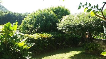 Cocoa  Pod Studio