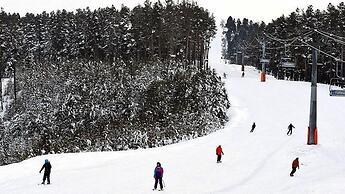 Sarikamis Kayi Snow Otel
