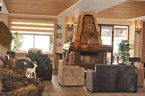 Sarikamis Kayi Snow Otel