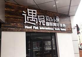 Meet Fish International Youth Hostel