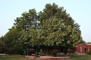 Thar Exotica Hotel & Resorts.