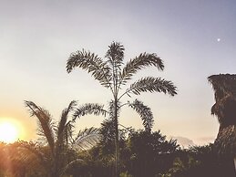Swell Surf & Lifestyle Hotel