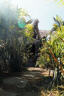 Swell Surf & Lifestyle Hotel