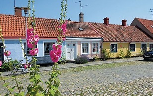 Tastecelebration Residence