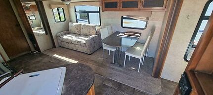 Glamping With Llamas