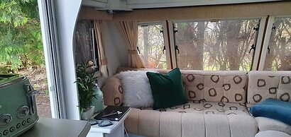 Glamping With Llamas