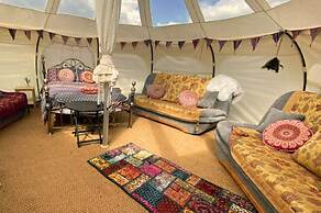 Glamping With Llamas