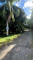 Fare Arana Moorea Guesthouse