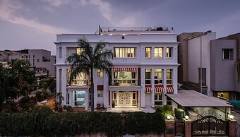 Palm34