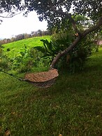 Vue grand hilltop