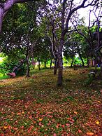 Vue grand hilltop