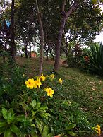 Vue grand hilltop