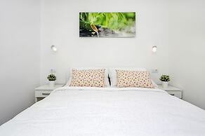 Apartment and Studio Tereza
