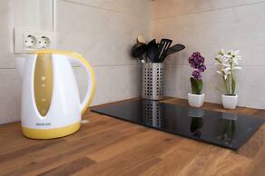 Apartment and Studio Tereza