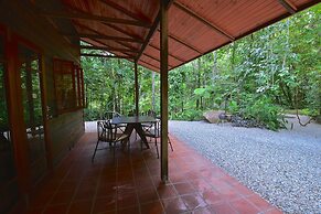 Daintree Cascades