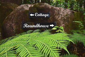 Daintree Cascades
