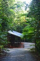 Daintree Cascades