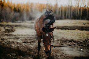 Big Creek Lodge - Working Guest Ranch
