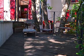 Chambres d'Hôtes Maison de la Vigne