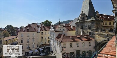 Hotel U Tri Pstrosu