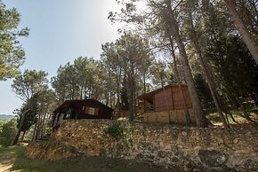 Molí L' Abad