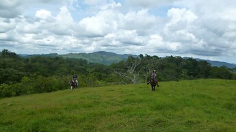 Finca Tres Equis - Farm and Forest