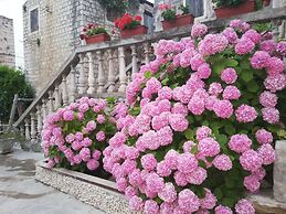 Guest House Exalto