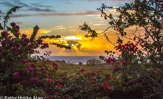 Kona Koa Lodge