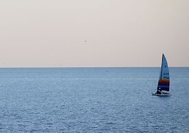 Stella del Mar