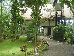 TreeTops