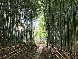 Green Door Ban Gioc - Hostel