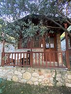 Montenegro Motel
