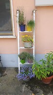 B&B Scacco Matto