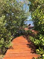 Hotel Rio Lagartos