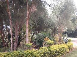 Spice Garden
