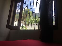 Los Cactus
