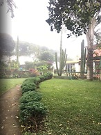 Los Cactus
