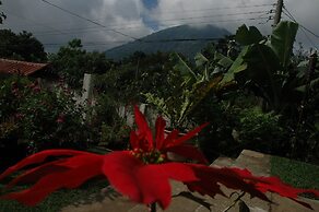 Los Cactus