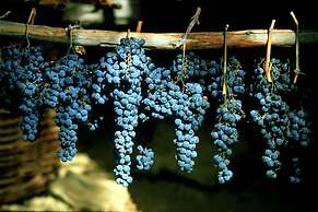 Podere il Poggiolo