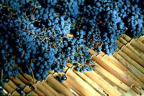 Podere il Poggiolo