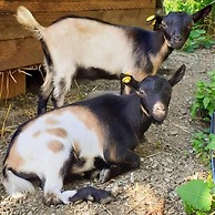 Cà Gennara B&B