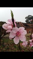 Mount Tai Wu Cozy