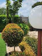 Cycad Palm Hotel