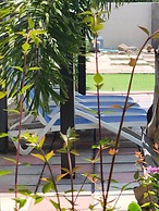 Cycad Palm Hotel