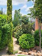 Cycad Palm Hotel